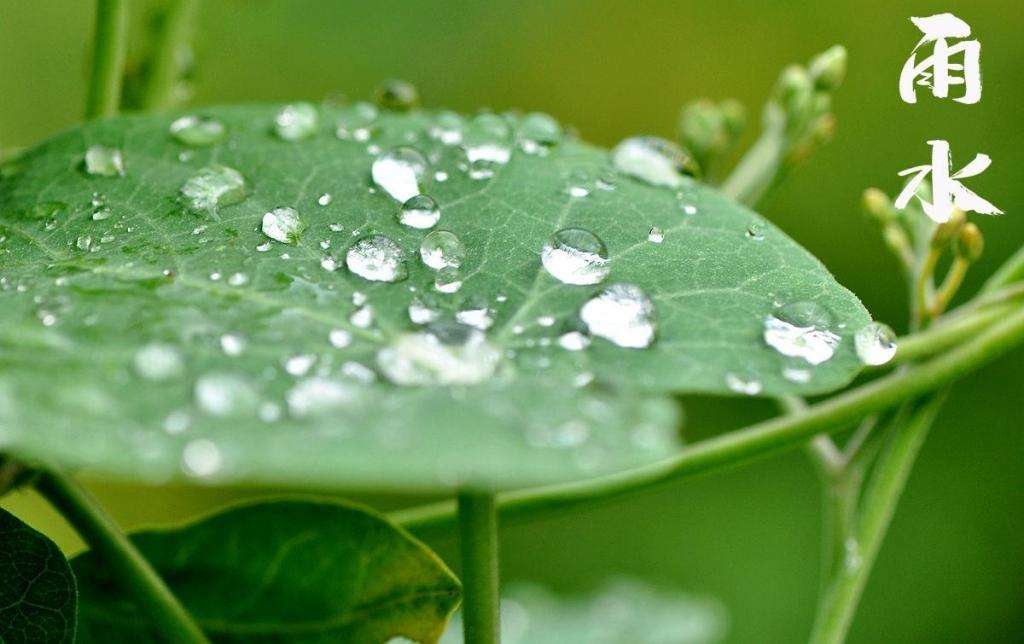 雨水潤萬物，兼顧沙與泥！
