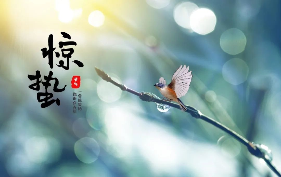 驚蟄！